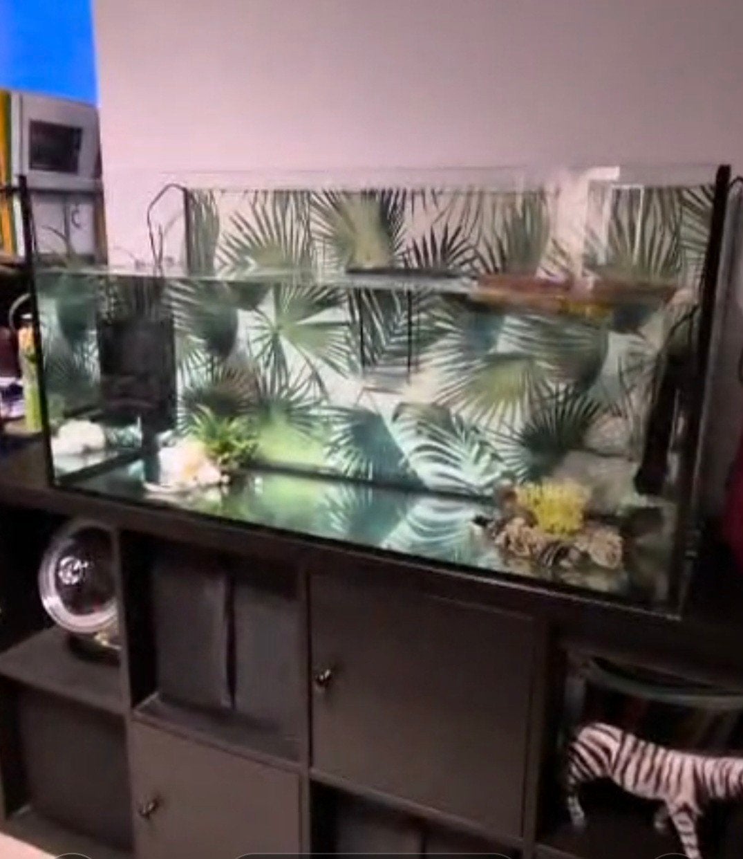 Aquarium 100l / 1004050sm BIEDEN, Animaux & Accessoires, Enlèvement, Comme neuf, Aquarium vide, Aquael