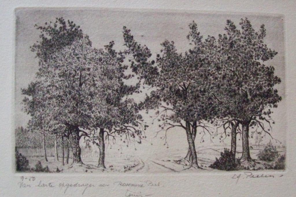 "Bomen" - Louis A. Peeters, Ophalen, Ingelijst, Landschap, 1950 - 1999
