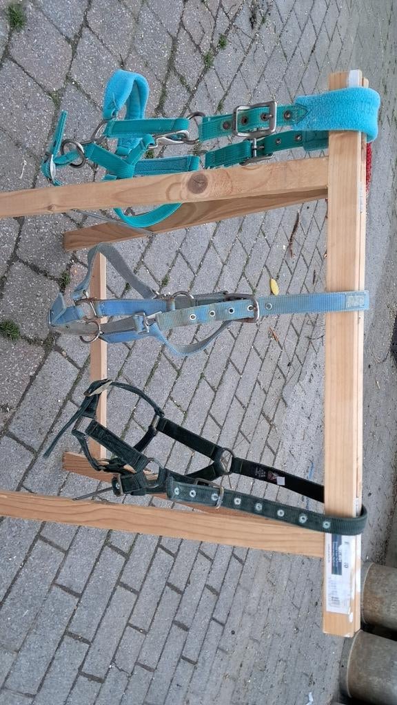 Halsters maat cob, Dieren en Toebehoren, Ophalen, Gebruikt, Recreatie