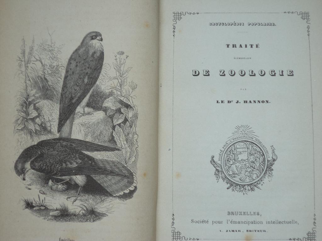 1855 J. Hannon Traité élémentaire Zoölogie natuurboek dieren, Antiek en Kunst, Antiek | Boeken en Manuscripten, Ophalen of Verzenden