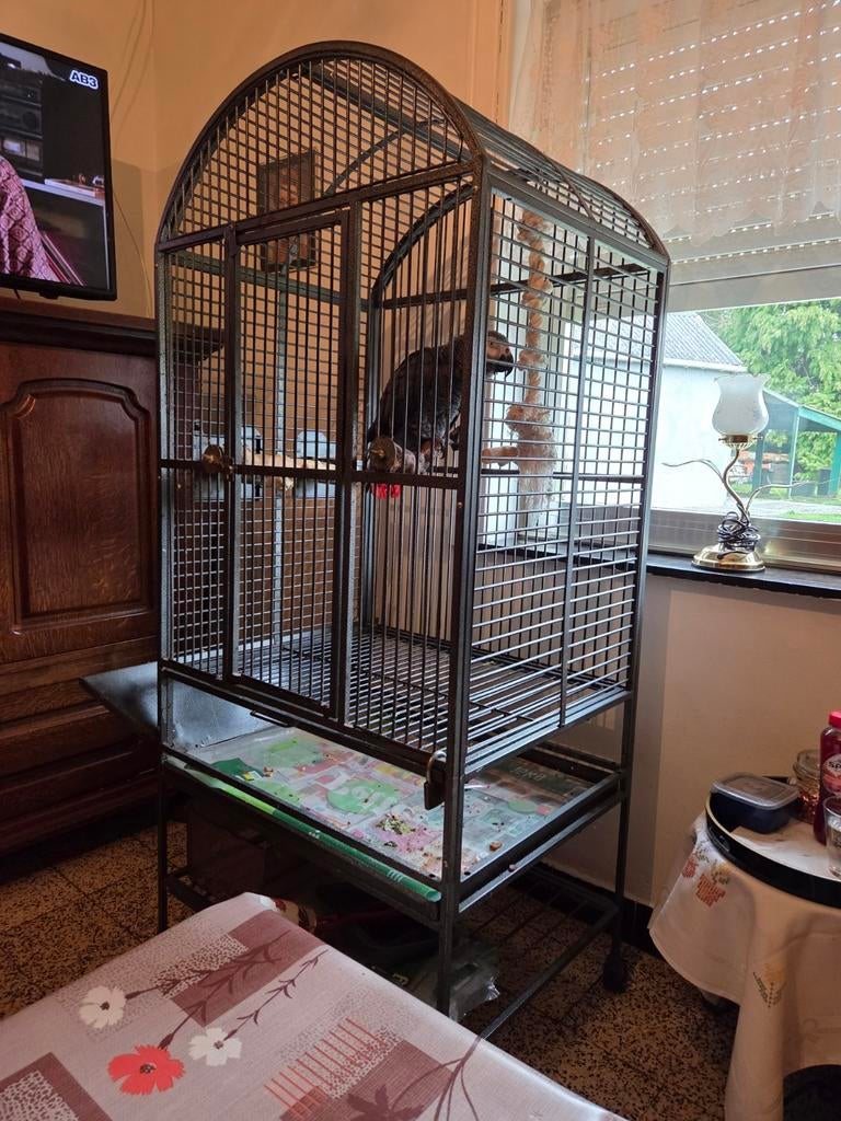 CAGE POUR PERROQUET, Enlèvement, Comme neuf, Métal, Cage à oiseaux