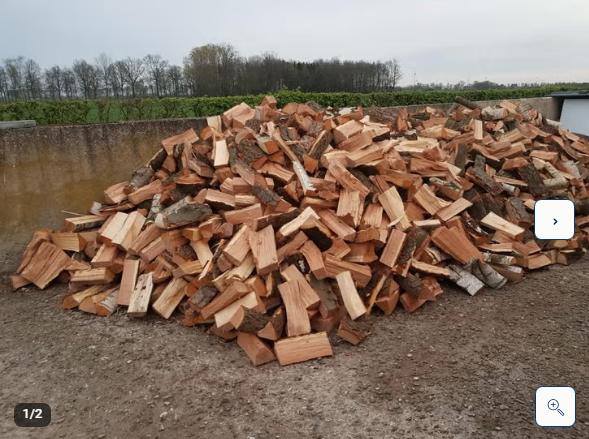Brandhout: eik + kerselaar - regio Brecht, Ophalen
