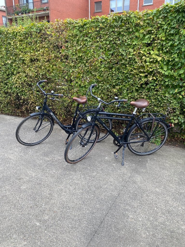 2 x Oxford, Frein sur jante, Femmes, Enlèvement, Autres types