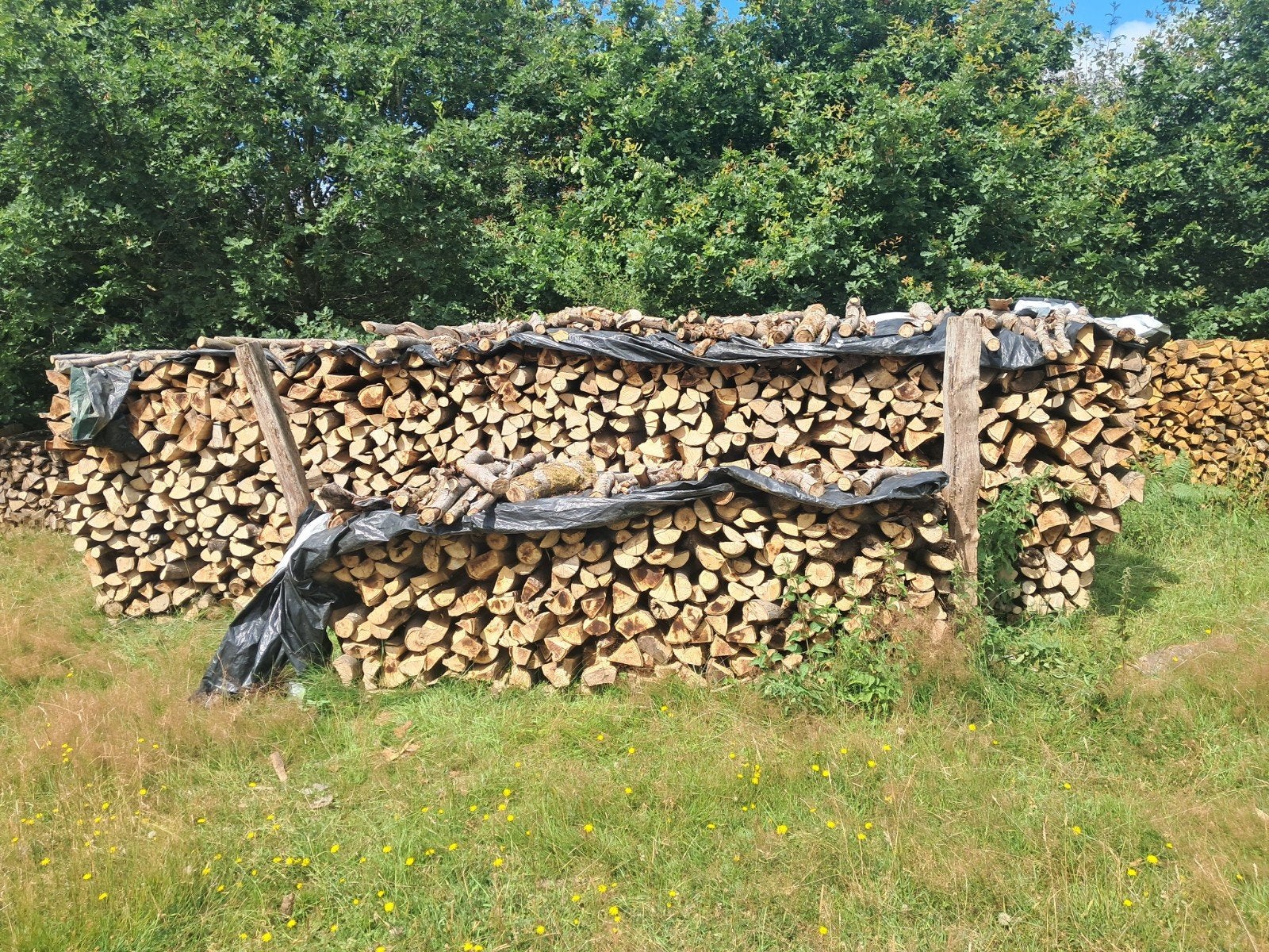 Bois de chauffage hêtre, Enlèvement