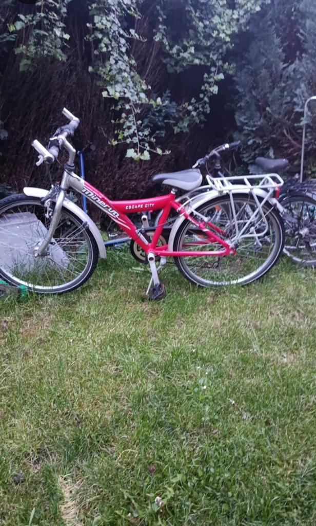 Fietsen te koop, Enlèvement, Comme neuf