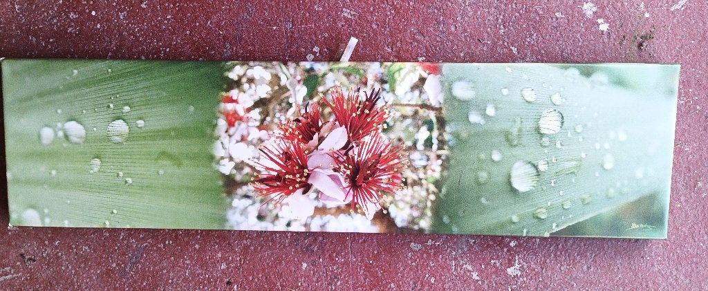 Photographie unique imprimé sur bâche et tendue sur bois, Antiquités & Art, Art | Dessins & Photographie, Enlèvement, Photo, Photographie