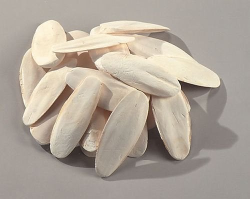 Sepia schelp voor vogels per 8 stuks