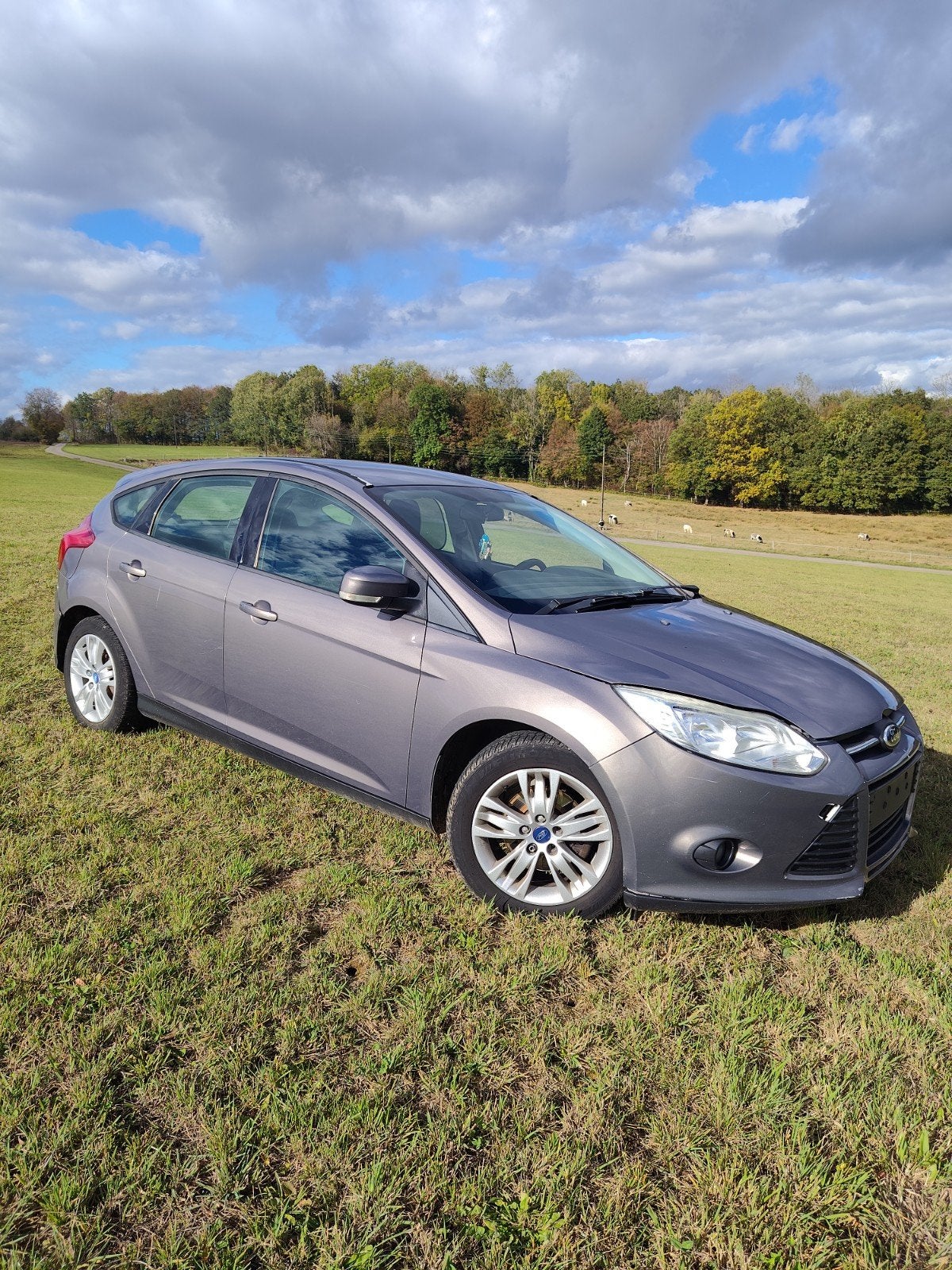 focus 16tdci 2012, Particulier, Achat, Focus