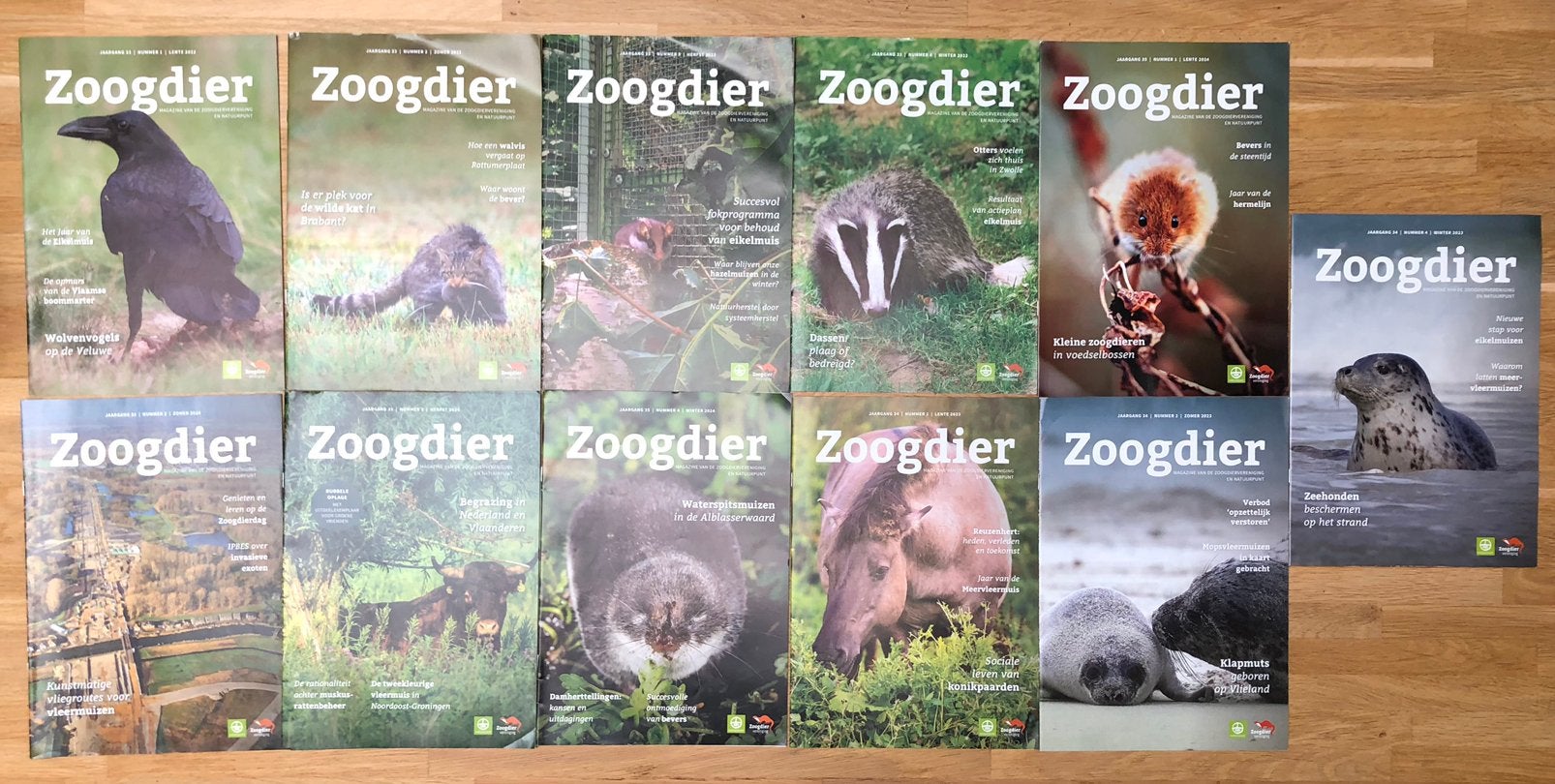 Zoogdier magazine van de Zoogdiervereniging en Natuurpunt, Ophalen of Verzenden, Gelezen, Wetenschap en Natuur
