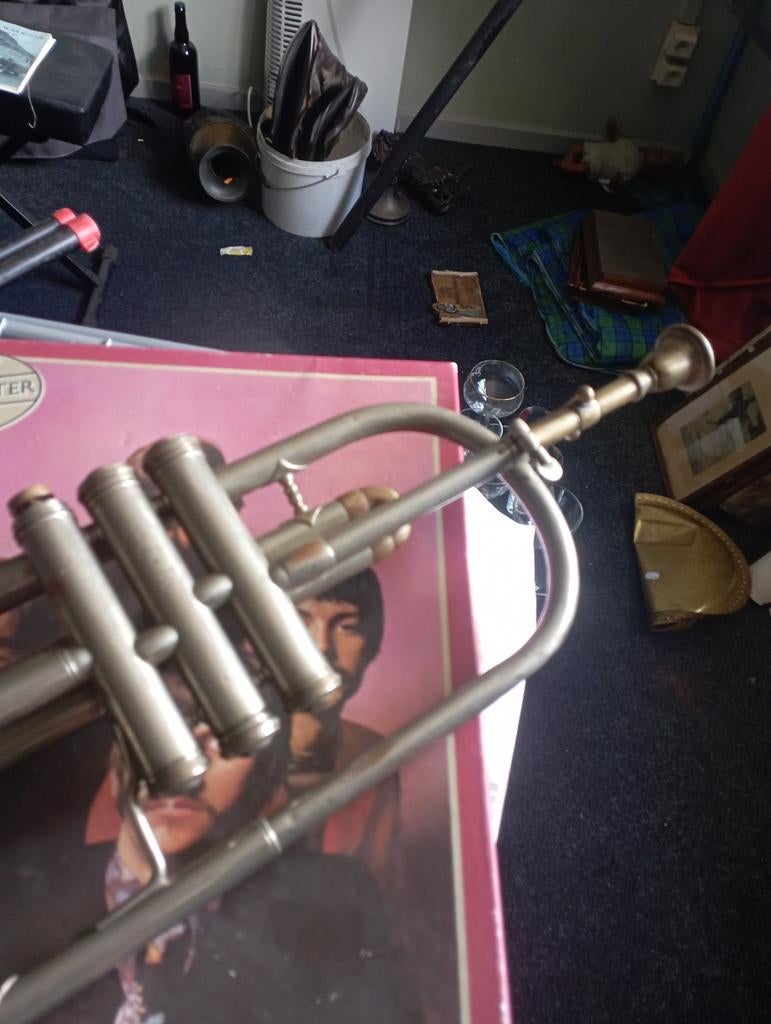 Trompet voor opmaak of decoratie, Muziek en Instrumenten, Blaasinstrumenten | Trompetten, Ophalen