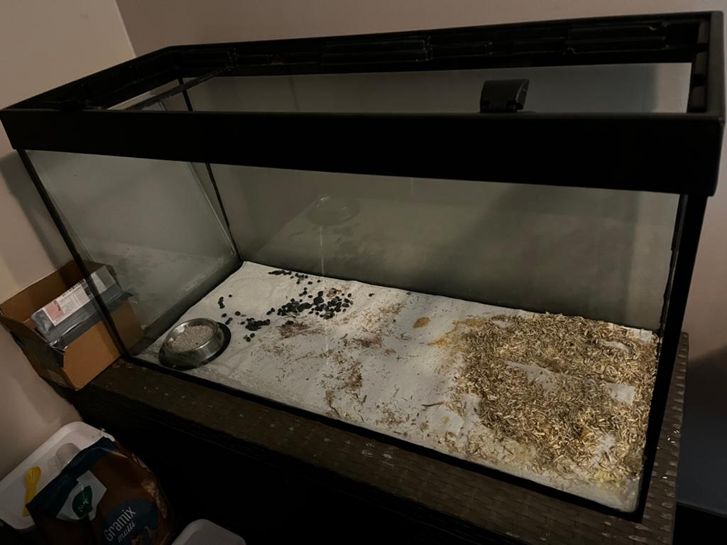 Aquarium / glazen bak 100x40x60 cm, Enlèvement, Utilisé