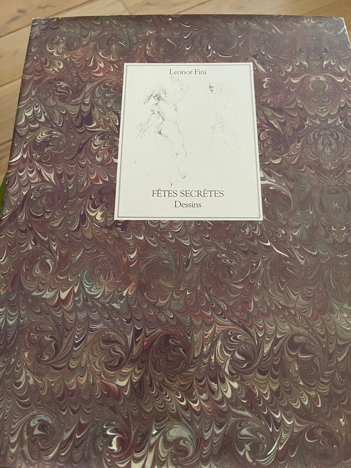 Secrete Fetes. Dessins de Leonor Fini, Livres, Enlèvement, Comme neuf, Autres sujets/thèmes