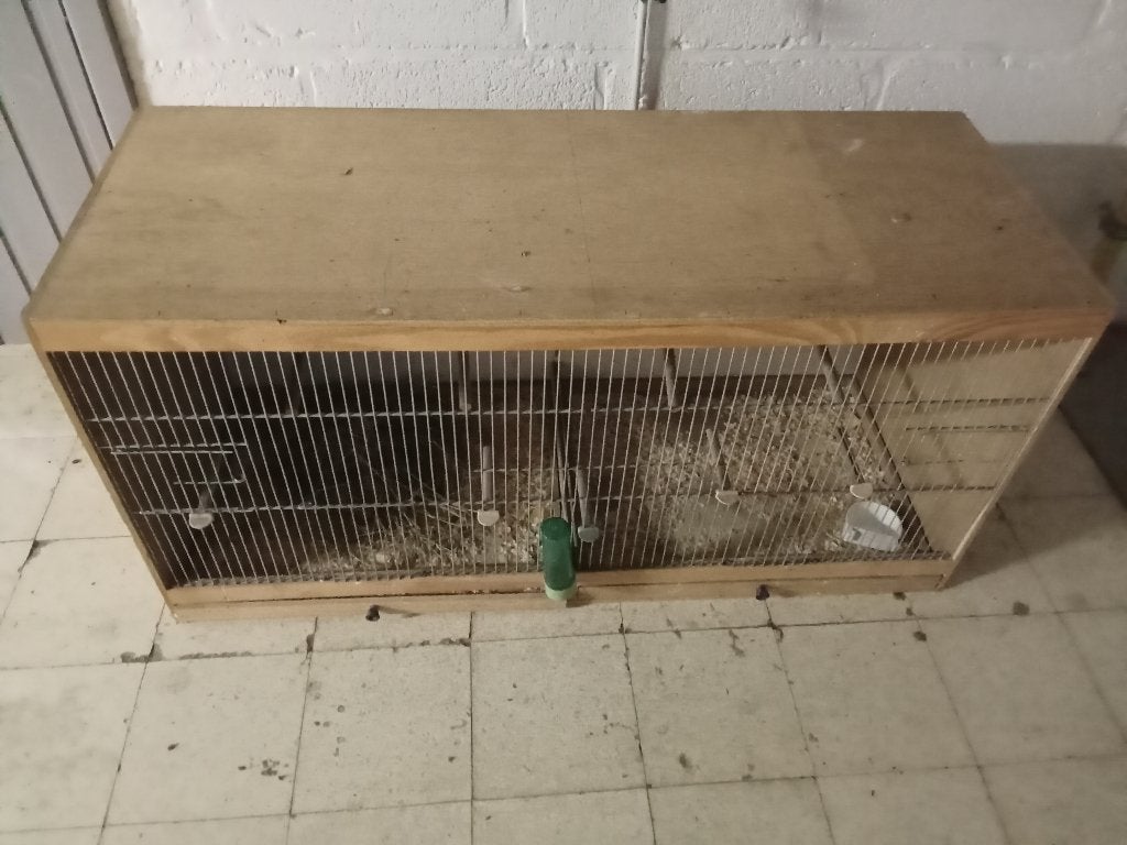 Kooi voor vogels kanaries met accessoires, Ophalen, Gebruikt, Hout, Broedkooi of Kweekkooi