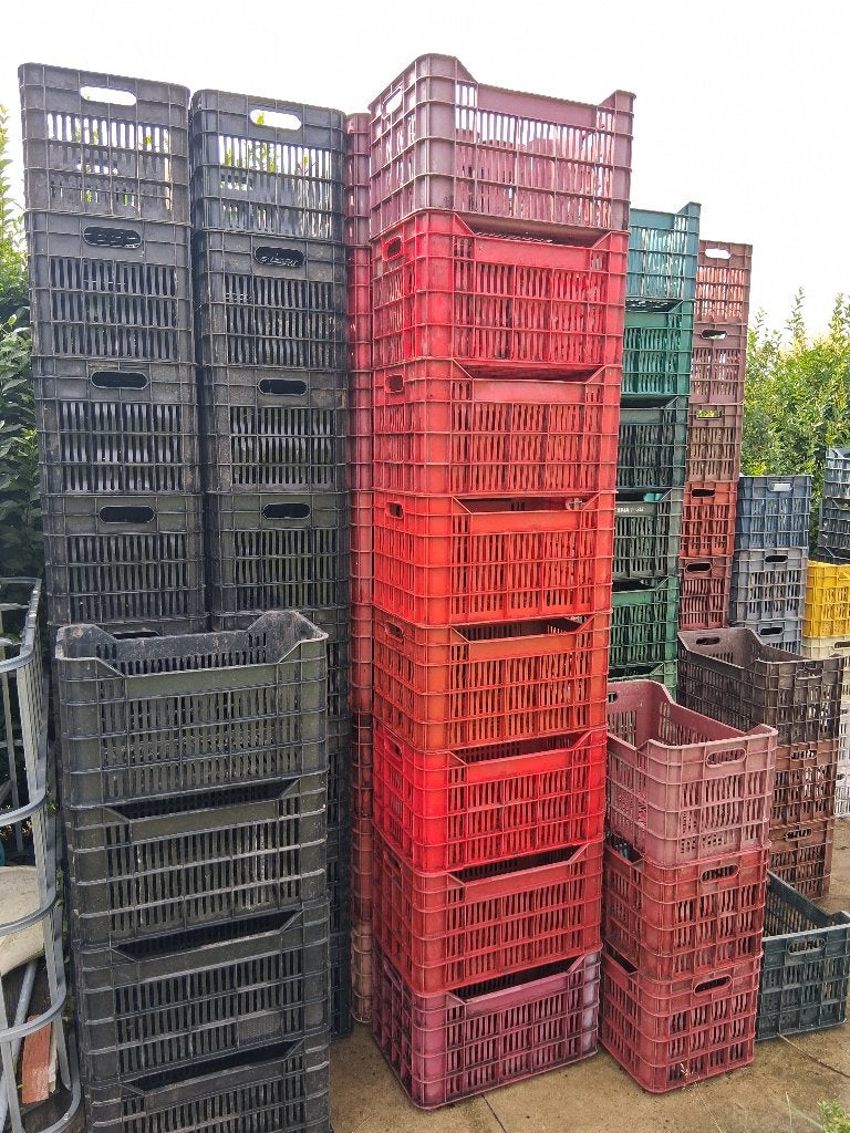 kratten 52 x 35 x 30 b-keus gebruikt, Ophalen, Gebruikt, 50 tot 75 cm, Minder dan 35 cm