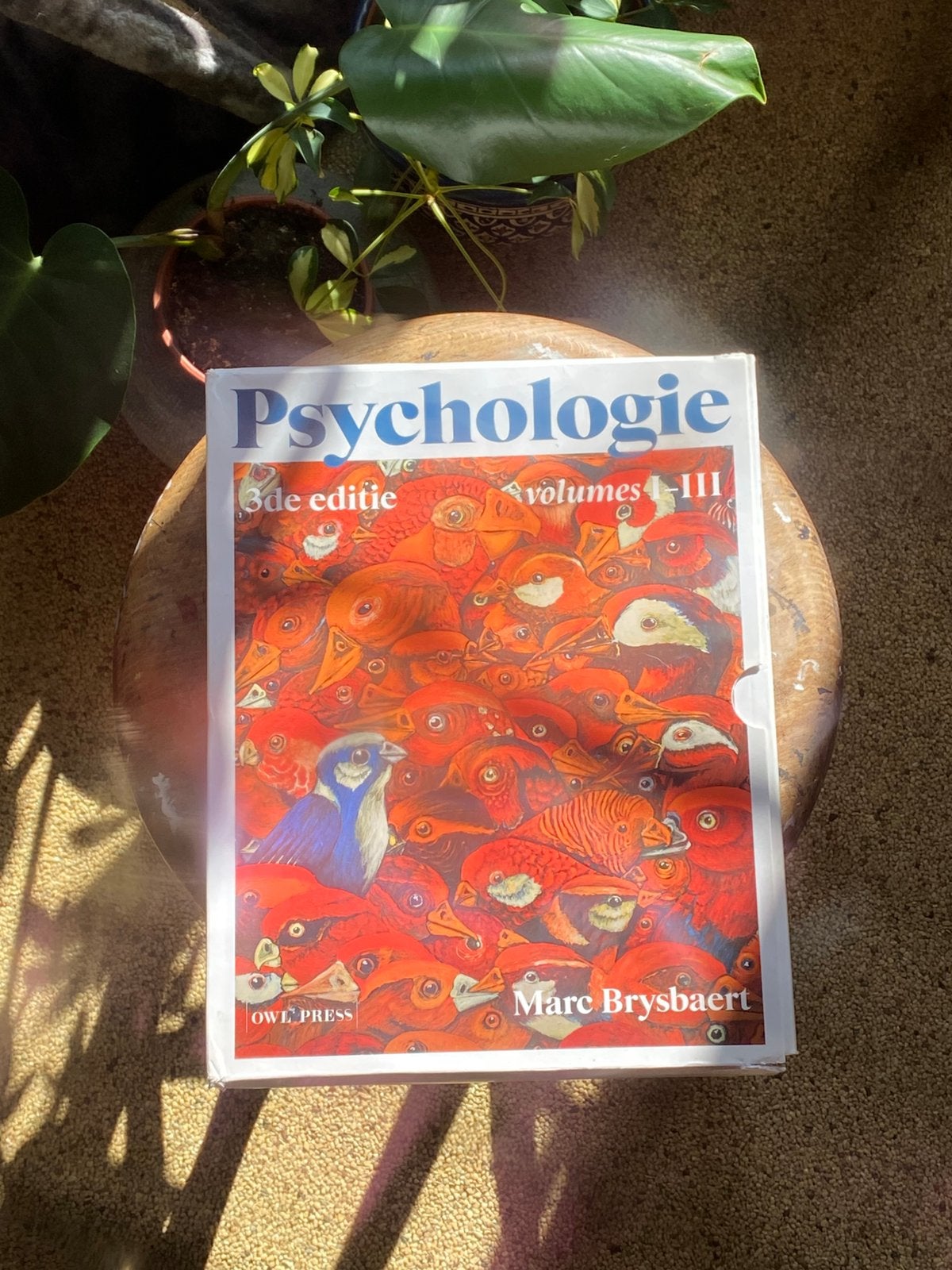 Marc Brysbaert - Psychologie, Livres, Enlèvement ou Envoi, Utilisé, Marc Brysbaert