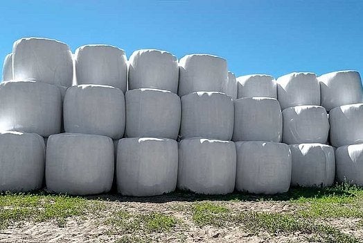 MAISBALEN 2025, Dieren en Toebehoren, Ophalen