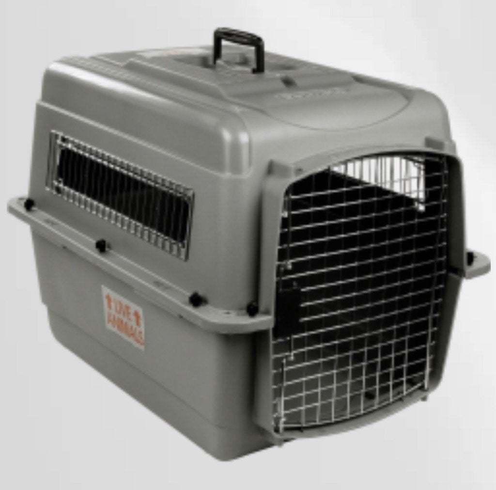 Dog Carrier for Airplane, Livres, Enlèvement, Comme neuf, Chiens