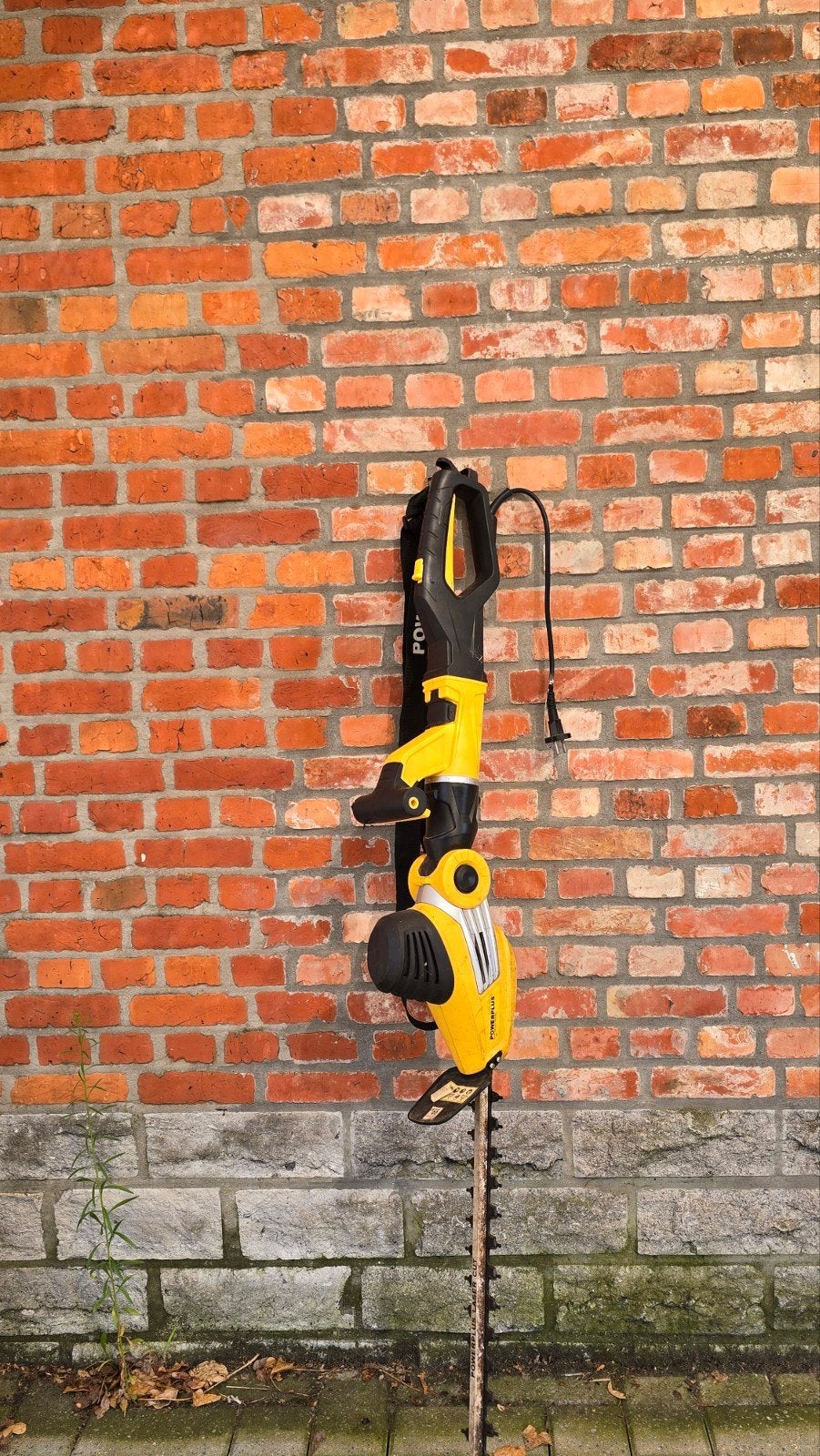 Taille-haie Powerplus, Enlèvement, Utilisé, Électrique, Powerplus gardenpro