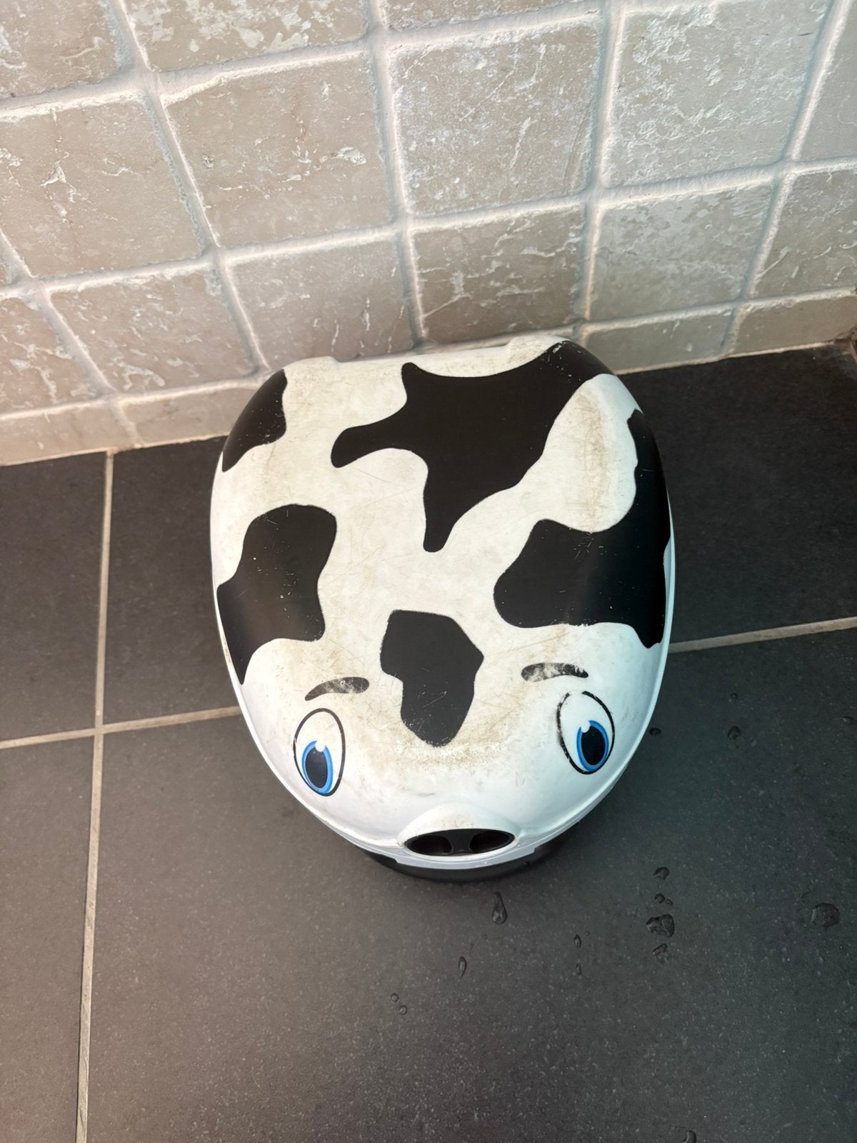 My carry potty, Enlèvement ou Envoi, Comme neuf