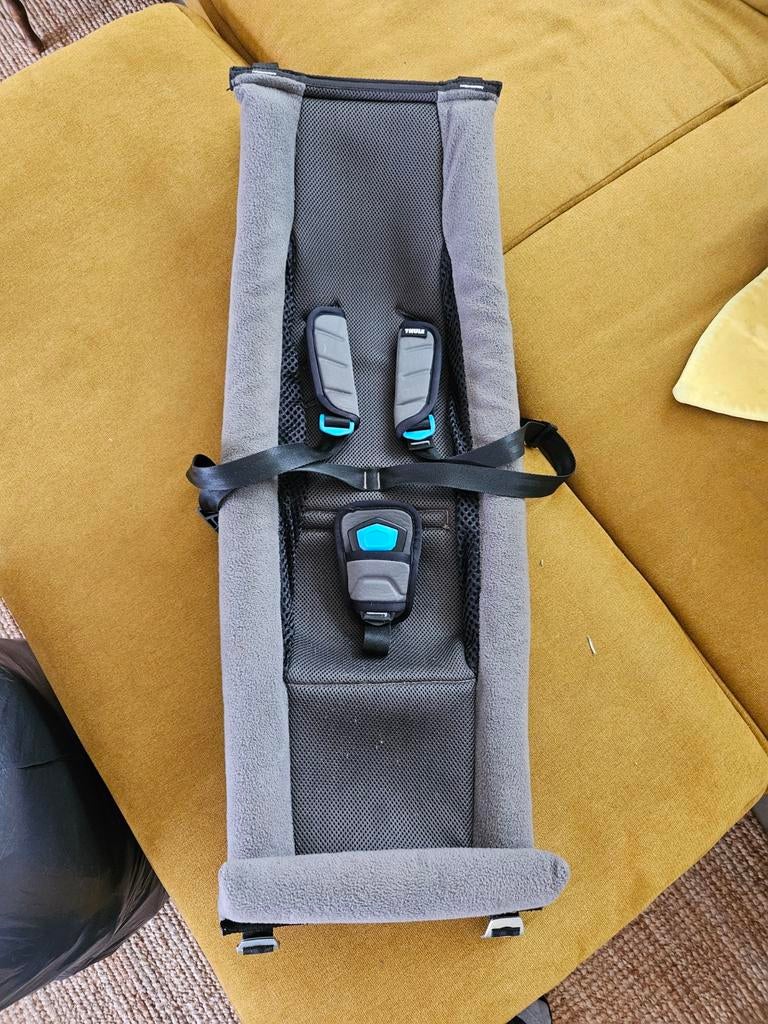 Thule hangmat fietskar, Enlèvement