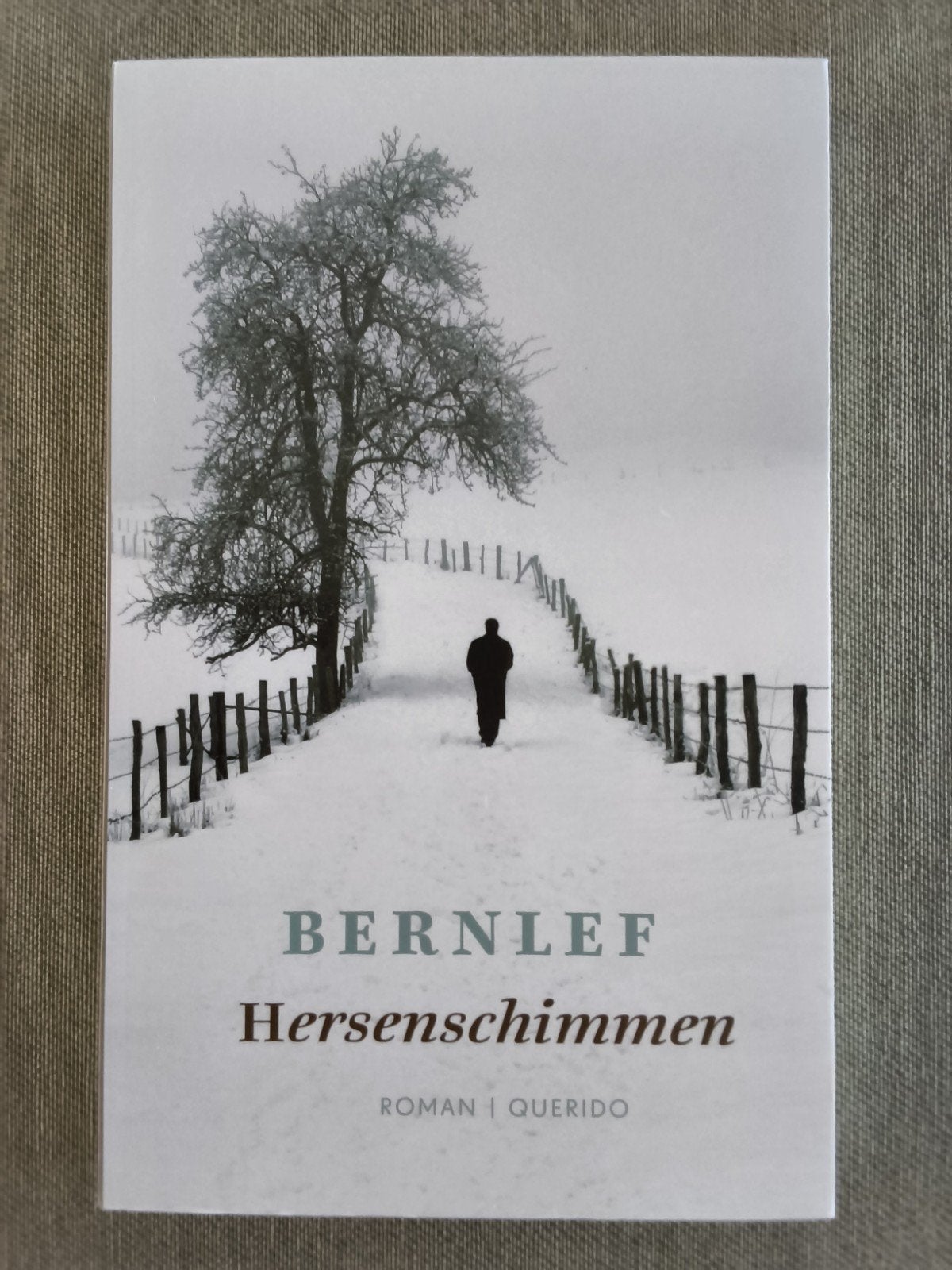 "Hersenschimmen" ( Bernlef), Boeken, Verzenden
