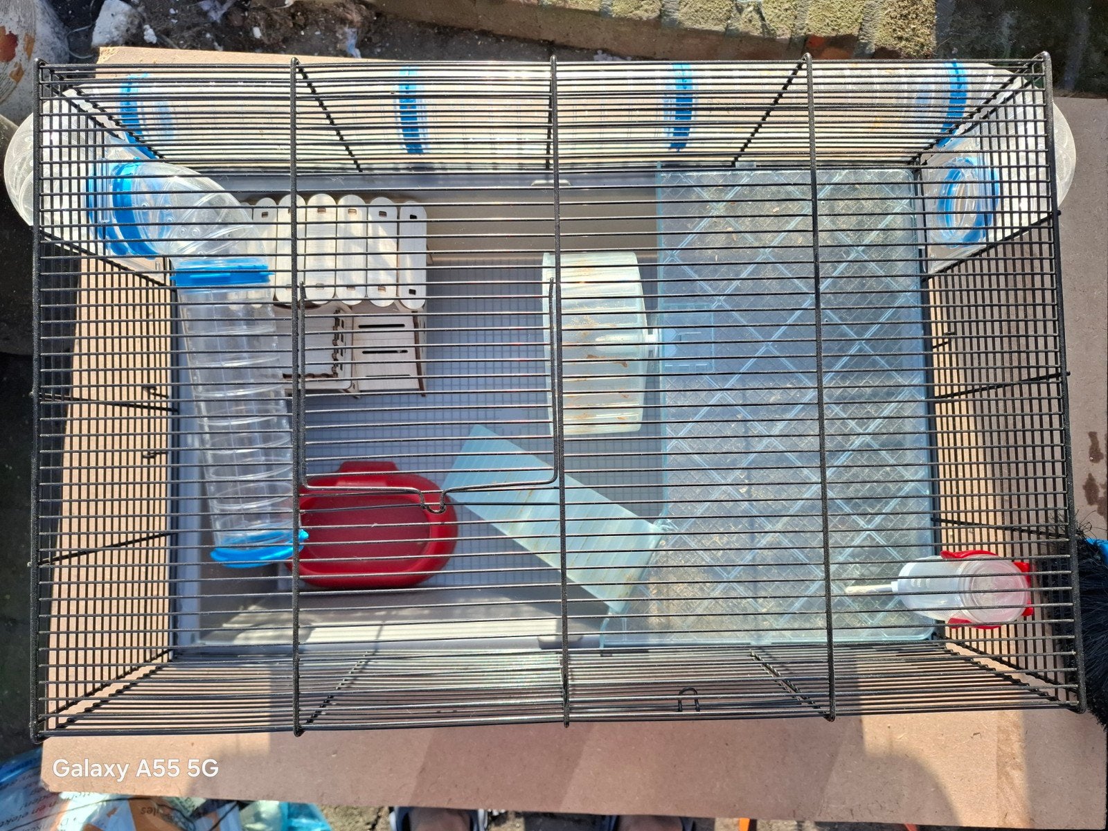 Hamsterkooi, Dieren en Toebehoren, Ophalen