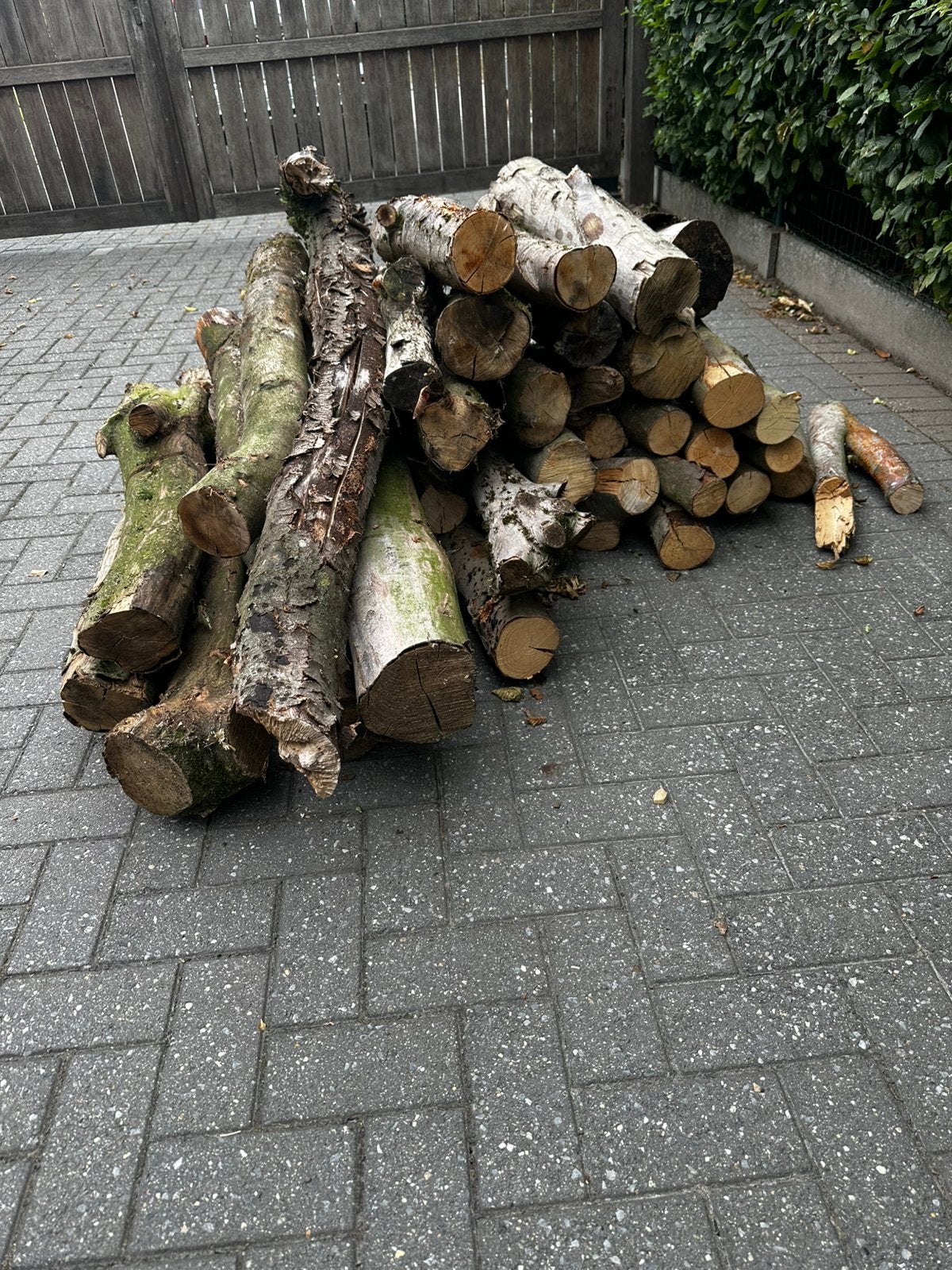 Brandhout, Minder dan 3 m³, Ophalen, Beukenhout, Stammen