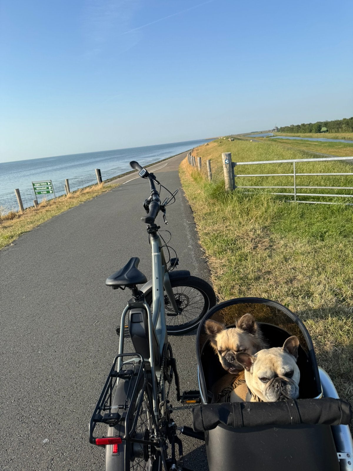 Fietskar hond side car, Enlèvement, Comme neuf, Remorque pour chien, 20 à 40 kg