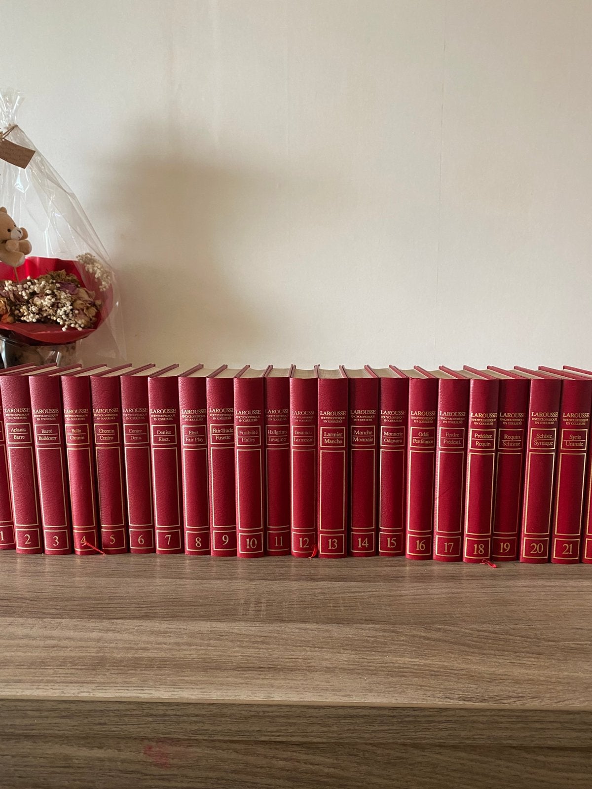 Verschillende franse encyclopedieën, Livres, Enlèvement, Comme neuf, Général, Série complète