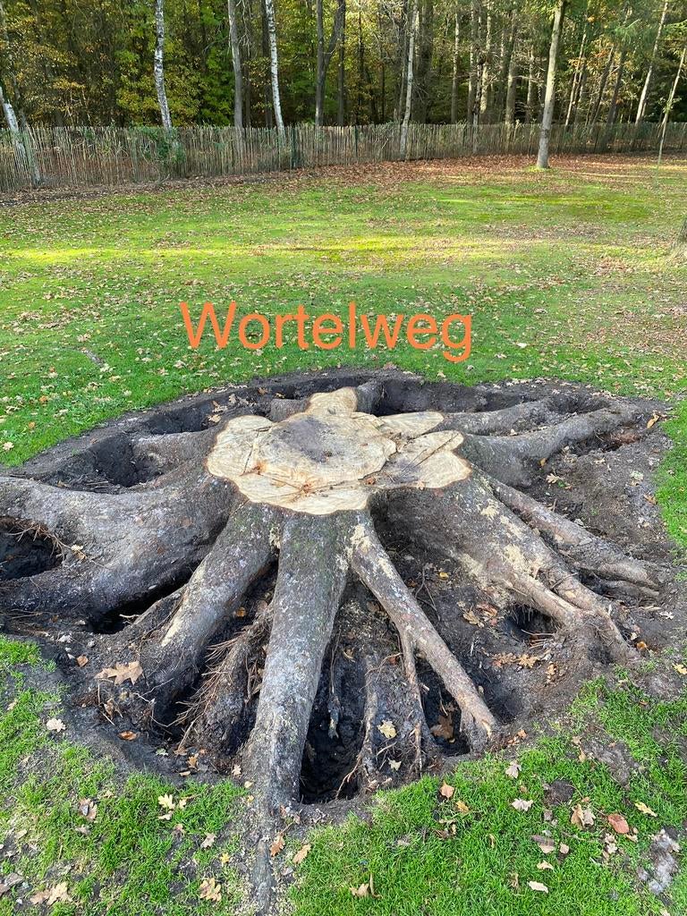 Boomstronk verwijderen van stronk boomwortels, Ophalen of Verzenden, Zo goed als nieuw