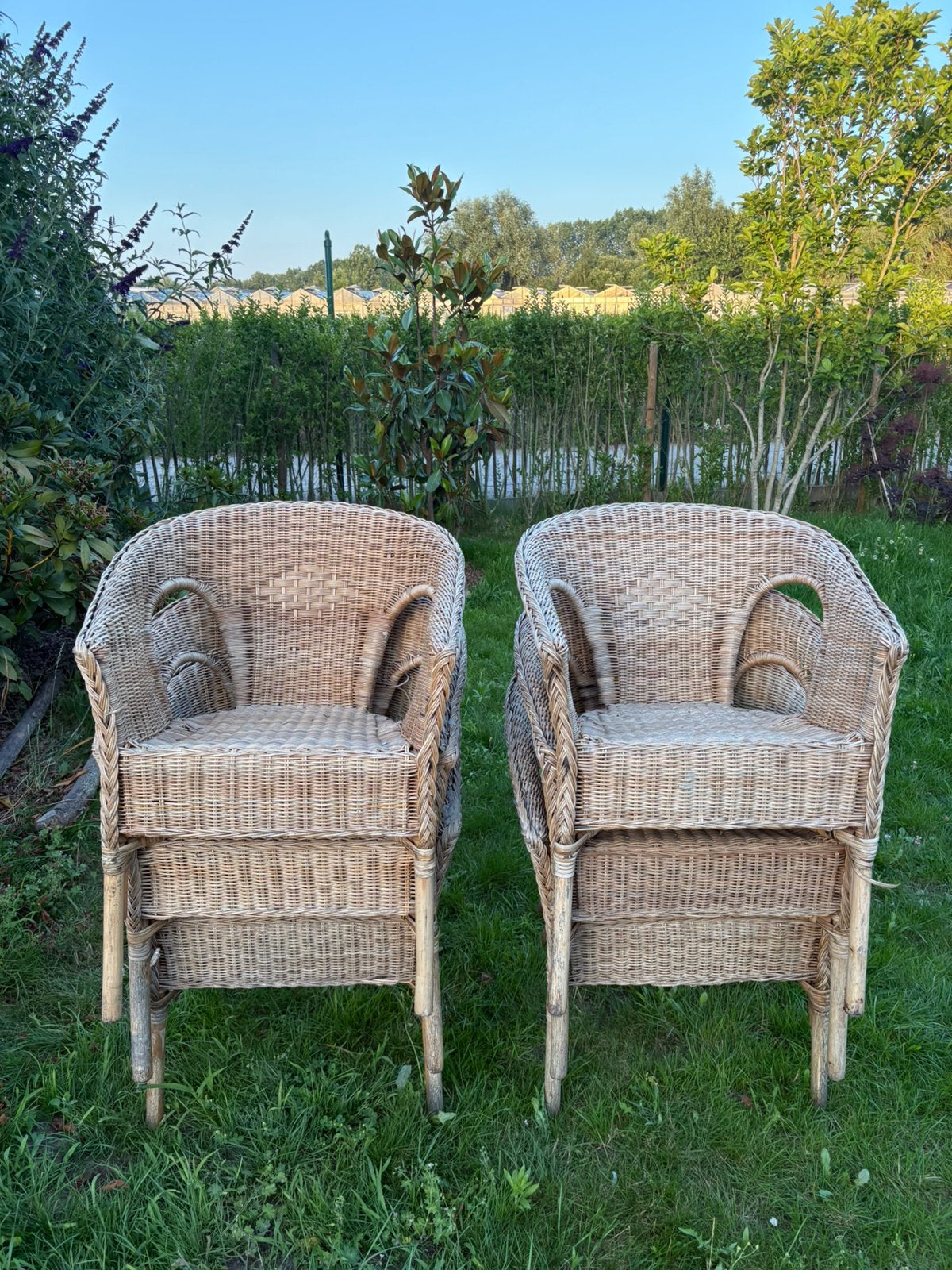 Gratis 6 rieten tuinstoelen, Ophalen, Gebruikt, Overige materialen, Stapelbaar