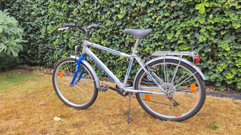 Kinderfiets 24 inch, Enlèvement, Utilisé, Frein sur jante, 20 pouces ou plus