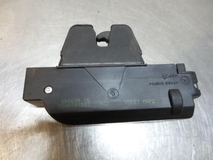 Slotvanger Achterklep van een Peugeot 307, Gebruikt, -, -, Ophalen of Verzenden