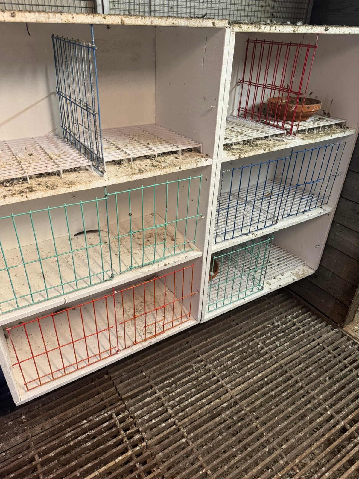 Te koop: Duivenkweekkast met 12 broedboxen, Dieren en Toebehoren