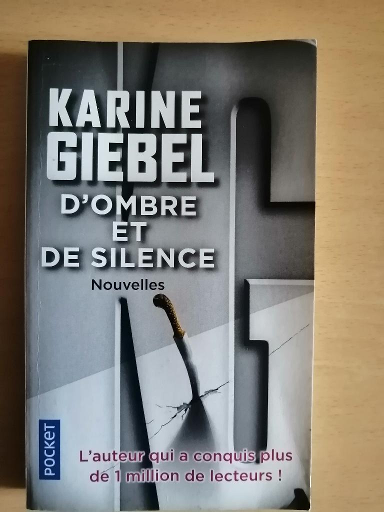 D'ombre et de silence de Karine Giebel, Enlèvement ou Envoi