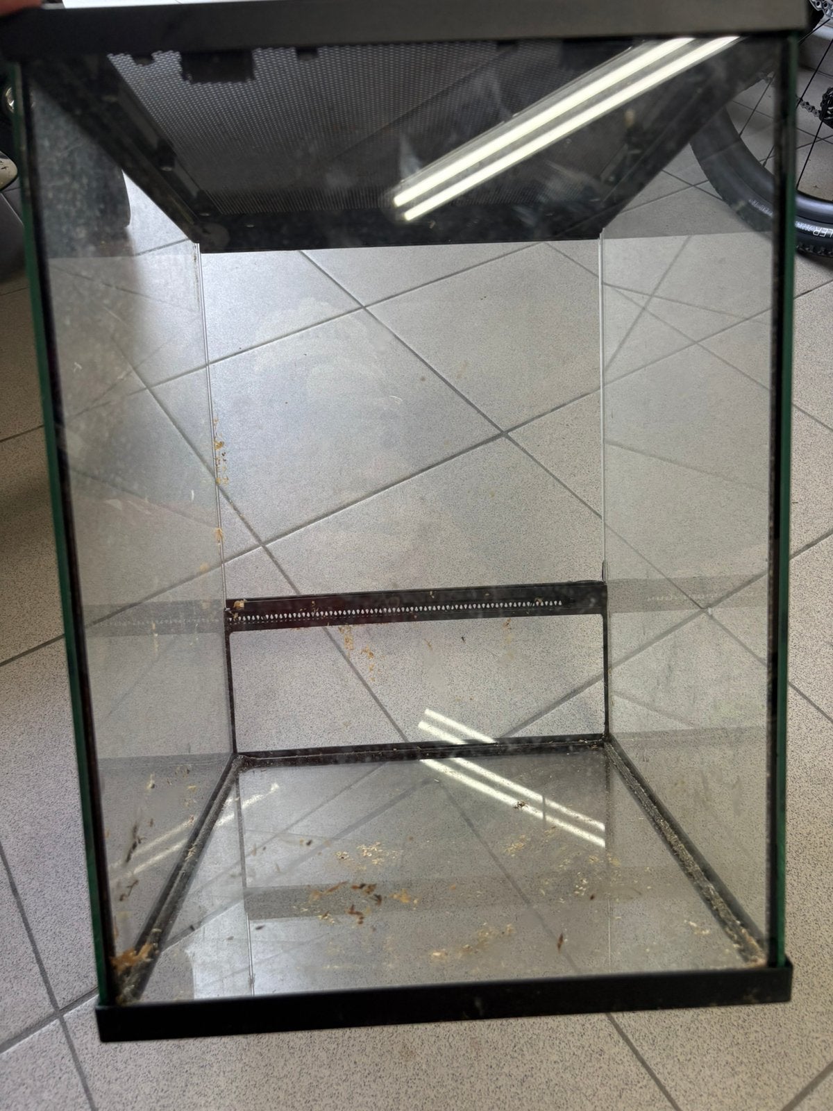 Terrarium in glas, Ophalen, Zo goed als nieuw