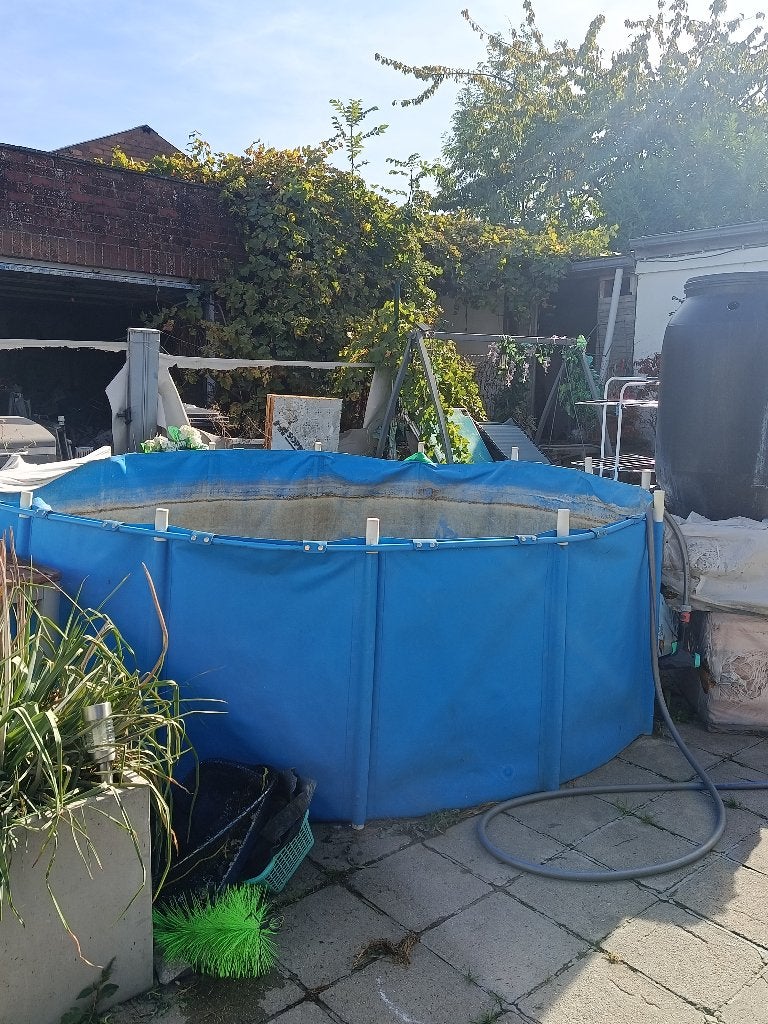 Bassin pour koi (koibawl) aquaforte 3mx3m, Animaux & Accessoires, Enlèvement, Utilisé