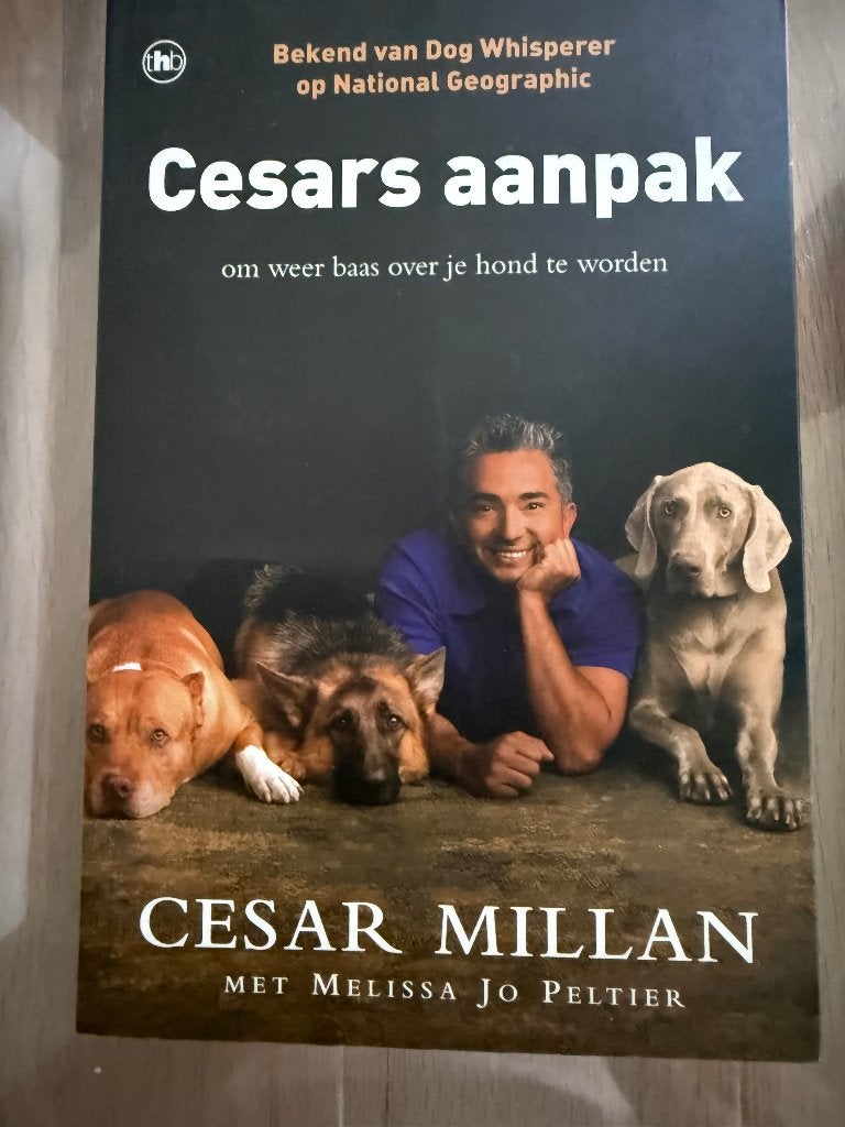 Cersars aanpak, Ophalen, Nieuw, Cesar Milan