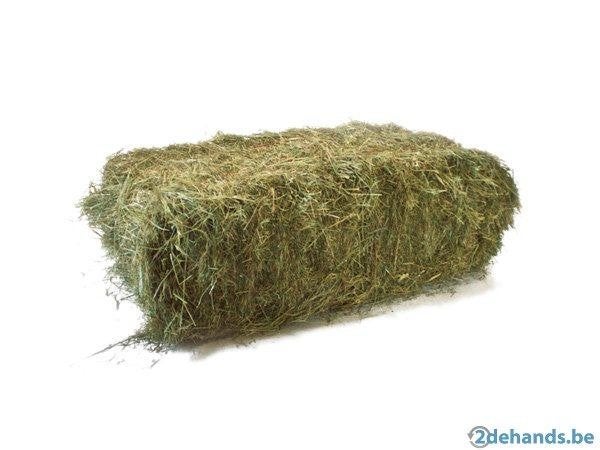 Hooi te koop, Dieren en Toebehoren, Dierenvoeding, Ophalen