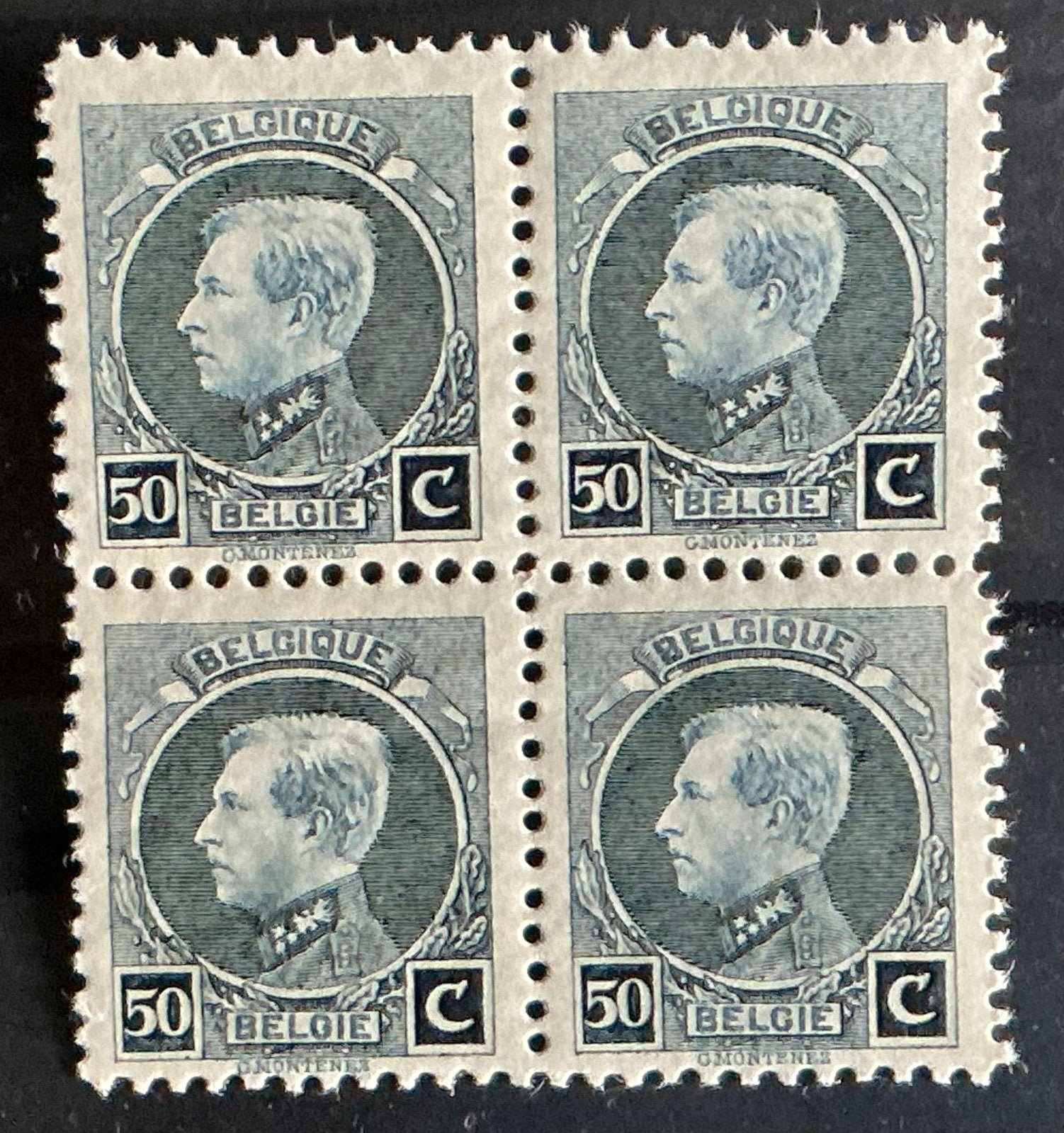 LOT 858. COB. 211B. ALBERT I. Montenez MNH. **, Neuf, Enlèvement ou Envoi, Non oblitéré, Gomme originale