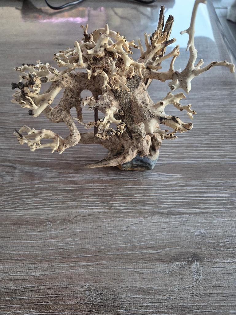 Bonsai-decoratie - ideaal voor aquarium, Ophalen