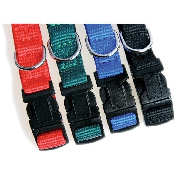 Grand choix d accessoires, Enlèvement, Neuf, Collier