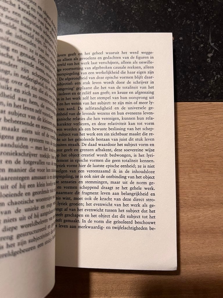 Theorie van de roman - Georg Lukacs, Boeken, Gelezen, Georg Lukacs, Ophalen of Verzenden, Overige onderwerpen