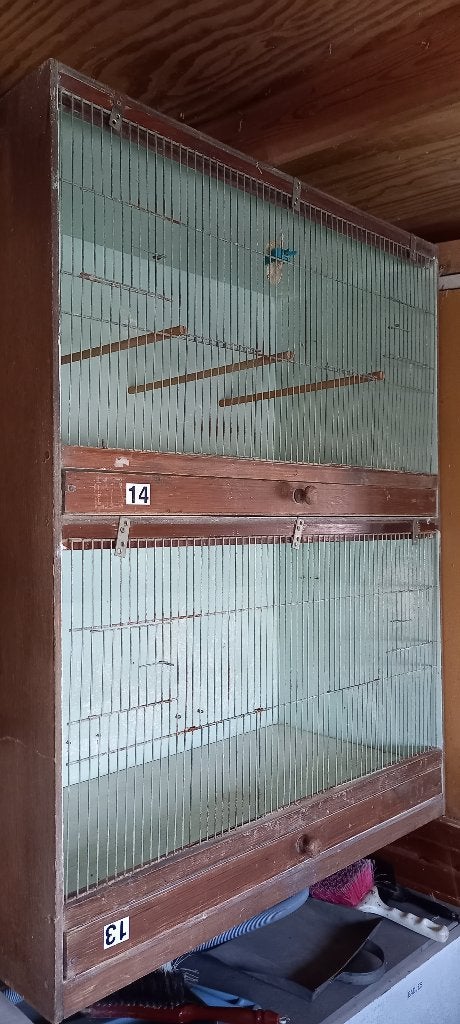 Houten kweekkooi 2 in één geheel ., Animaux & Accessoires, Oiseaux | Cages & Volières, Enlèvement, Utilisé, Bois, Cage d'élevage