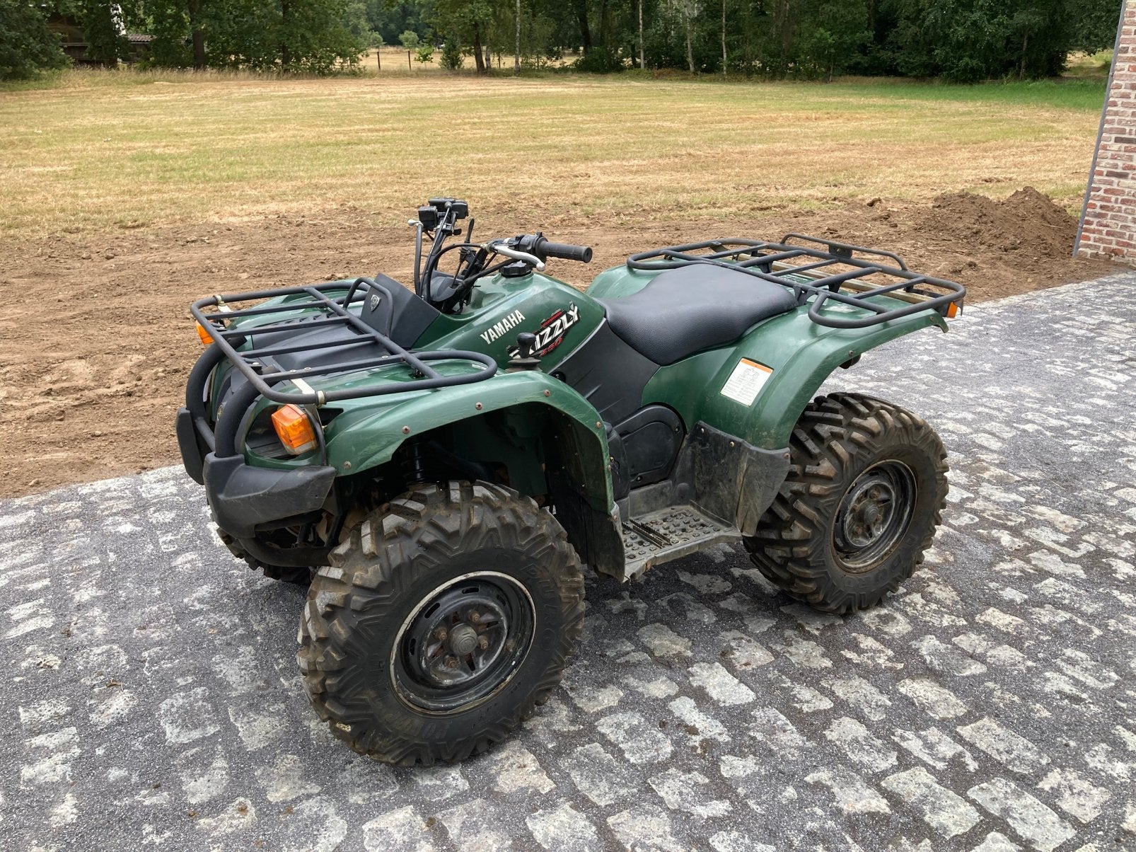 Yamaha grizzly 450