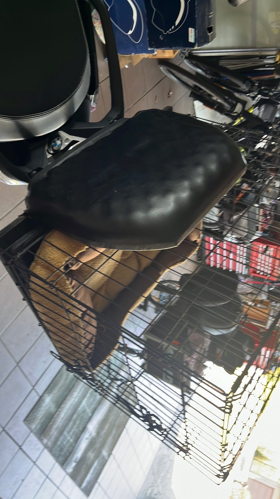 Cage pour chien pour moto, Enlèvement, Utilisé