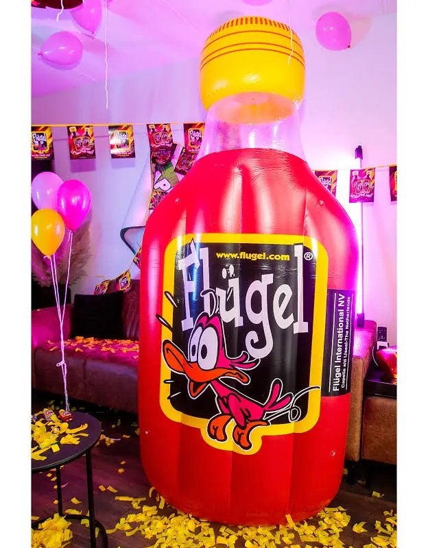 Opblaasflugel 2m, Tickets en Kaartjes