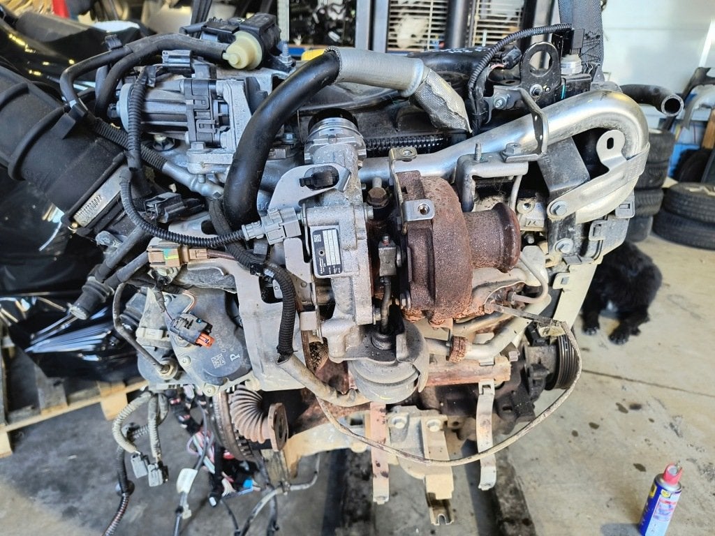 Moteur K9K646 Complet CAPTUR RENAULT, Envoi, Utilisé, Daihatsu