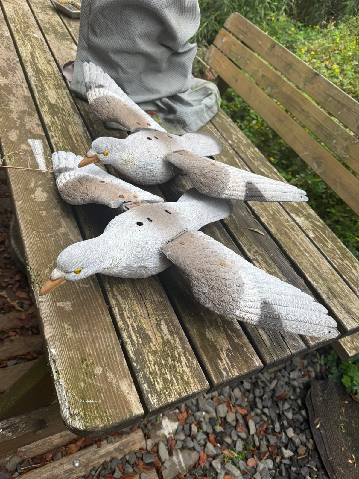 2x lokvogel duif jacht jager, Ophalen, Zo goed als nieuw
