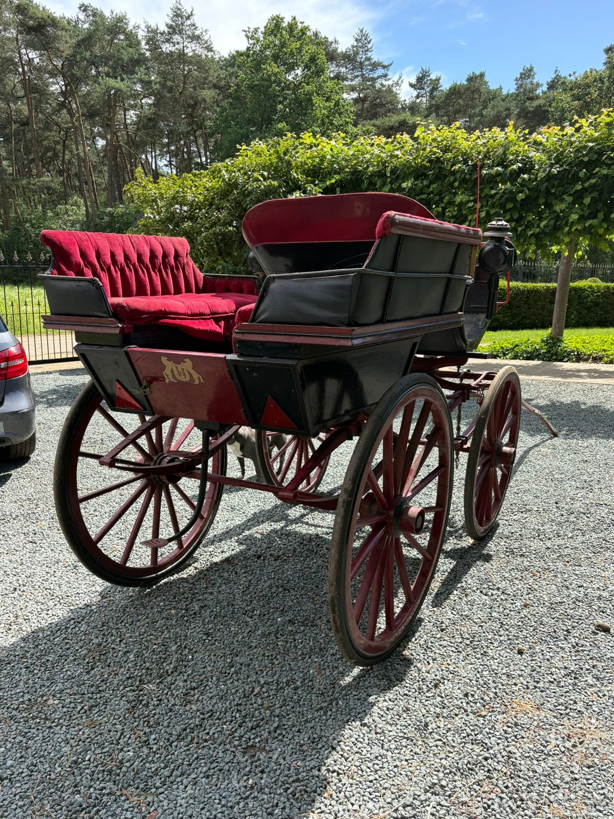 Wagonette paarden koets, Gebruikt, Wagonette, Paard